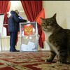 Логотип телеграм канала @vibor_2024_ru — Выборы РФ 2024🗳️Президент🗳️ Путин🗳️Дунцова🗳️Надеждин🗳️Слуцкий🗳️КПРФ🗳️ЛДПР🗳️ЦИК🗳️Памфилова🗳️