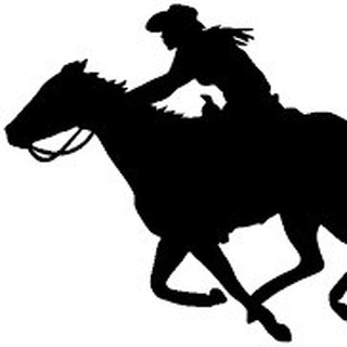 Логотип телеграм канала @vibornes — Быть на коне.