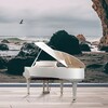 Логотип телеграм канала @victoryalovetsmusic — A Musician’s Notes