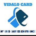 Logo saluran telegram vidalocarte10 — VIDALO CARTE💳💳