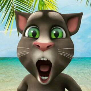 Telgraf kanalının logosu video_for_entertainment — Video For Entertainment