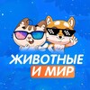 Логотип телеграм канала @video2 — Мир и Животные