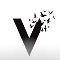 Logo saluran telegram video_xabaruz — Video Xabar Uz
