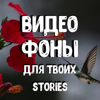 Логотип телеграм канала @videofonydlyastoris — ВидеоФоны для твоих Stories