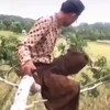 Логотип телеграм канала @videomemes333 — ВИДЕОМЭМЫ