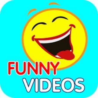 Logo saluran telegram videos_funny_memes_gifs_english — Funny Videos