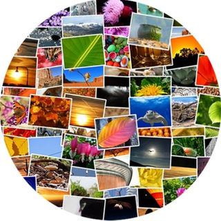 Логотип телеграм канала @videowallp — Video Wallpaper