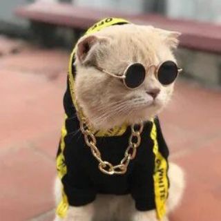 Логотип телеграм канала @vidos_rus — Видос_тв