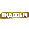 Логотип телеграм канала @vidosyich — Видосыч