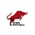 Logo saluran telegram vietnamcryptotrade — Việt Nam crypto Bulls channel