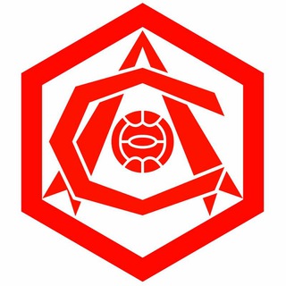 Логотип телеграм канала @viewarsenal — Arsenal View | Channel