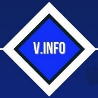 Logo of telegram channel vig_info — Vigilant Info