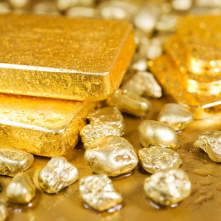 Логотип телеграм канала @vigivut_tolko_krupnie — ВЫЖИВУТ БИГИ