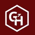 Logo saluran telegram viigh1 — GH7