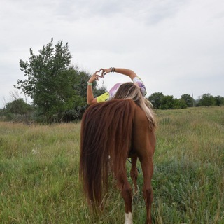 Логотип телеграм канала @viken_horses — Viken_horses