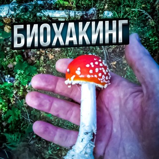Логотип телеграм канала @viking_mxm — Биохакинг 🧠 | VIKING | Мухомор. Микродозинг мухомора