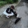 Логотип телеграм канала @viking_bitievikoi — сохрани мою тень