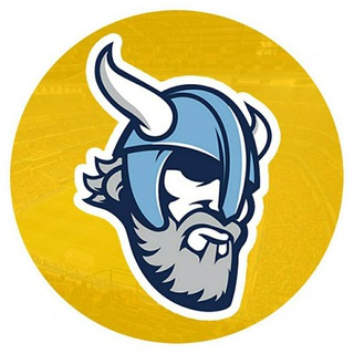Логотип телеграм канала @vikingbetru — VIKING BET | ЛУЧШИЕ ПРОГНОЗЫ 💸