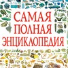 Логотип телеграм канала @vikipediarf — Энциклопедия власти. Заметки о политике Юга и Кавказа