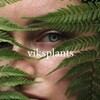 Logo of telegram channel viksplants — vikslife