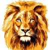 Логотип телеграм канала @vildworld — ЦАРЬ ЗВЕРЕЙ 🦁 | Дикий животный мир
