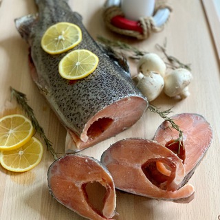 Логотип телеграм канала @vilenateam — Vilena Team