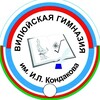 Логотип телеграм канала @vilgimn — Вилюйская гимназия