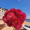 Логотип телеграм канала @villaastrafeo — Любимая Вилла АСТРА | ОТДЫХ В КРЫМУ