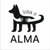 Логотип телеграм канала @villadialma — Villa di Alma