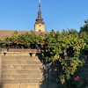 Логотип телеграм канала @village_in_serbia — Деревенская Сербия