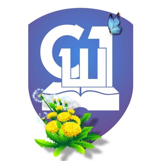 Логотип телеграм канала @vilschool1 — СШ № 1 (г. Вилючинск)