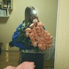 Логотип телеграм канала @vimolllyy — vimollyy