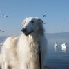 Логотип телеграм канала @vinechka_11 — Уголок Винечки!