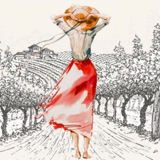 Логотип телеграм канала @vino_i_co — Вино и Ко