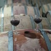 Логотип телеграм канала @vino_anapa — Винодельня Бегильдеева🍷