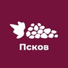 Логотип телеграм канала @vinograd_pskov — Фестиваль ВИНОГРАД в Пскове