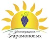 Логотип телеграм канала @vinograd_sengiley — Виноград Сенгилей🍇