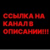 Логотип телеграм канала @vinogradik012 — vvinogradikk | В ОПИСАНИИ