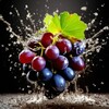 Логотип телеграм канала @vinogradvl — VINOgrad.VL🍇