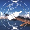 Логотип телеграм канала @vinoishagomer — Вино и Шагомер | Travel blog