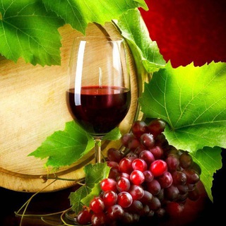 Telegram kanalining logotibi vinolar — Вино Vino Wine UZBEKISTAN Parkent
