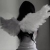 Логотип телеграм канала @vinsoly — алин ✧