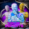 Логотип телеграм канала @vinum_esports — VINUM ESPORTS