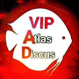 Logo saluran telegram vip_discusatlas — VIP Dιѕcυѕ Atlas