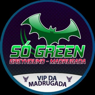 Telegram channel 🦉MADRUGADÃO 🦉 logo