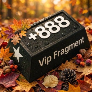 Логотип телеграм канала @vipfragment_gifts — VipFragment x Gifts