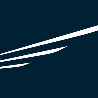 Логотип телеграм канала @vipgroup_aero — VIP Group Aero