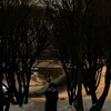 Логотип телеграм канала @viplerov — viplerov