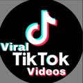 Logo saluran telegram viral_tiktok_videos_bby — Viral Tik Tok Videos