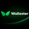 Логотип телеграм канала @virtualcardwallester — Виртуальные карты от Wallester